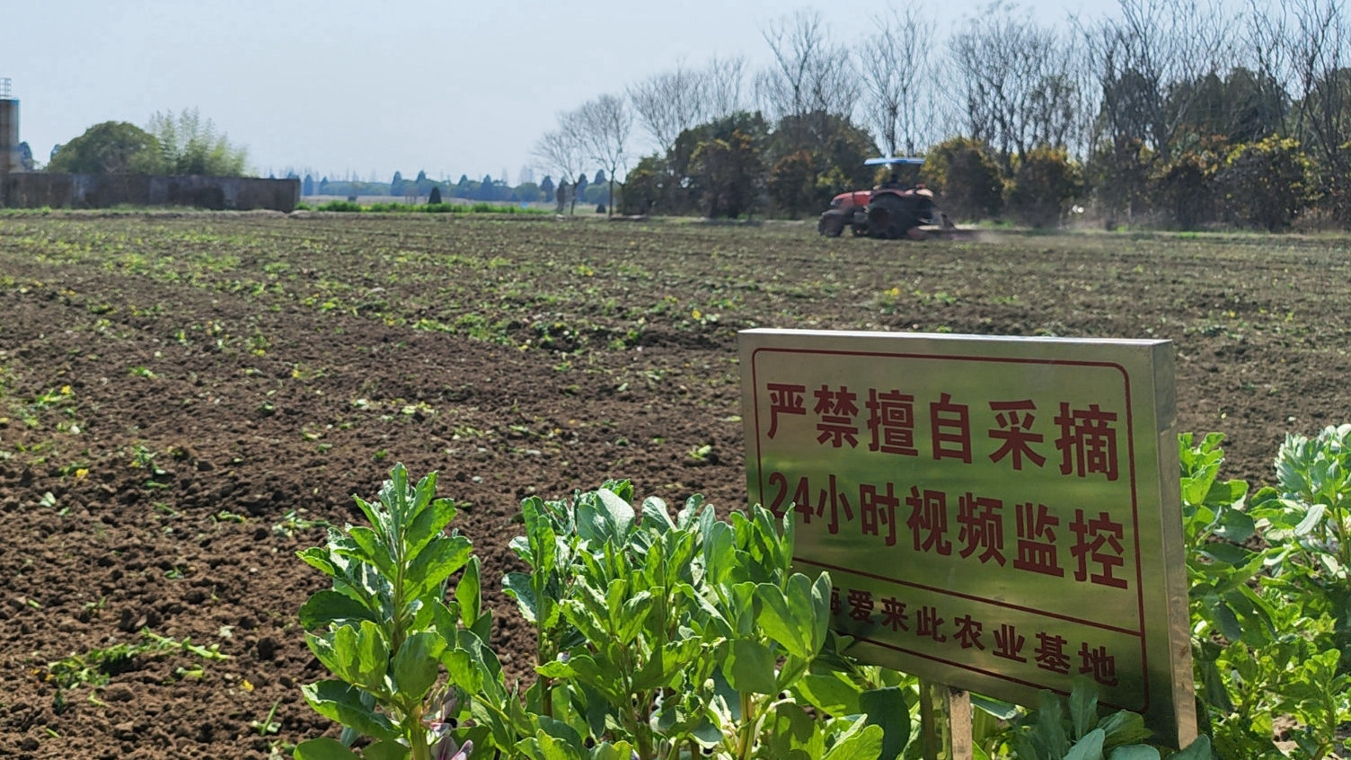 爱来此农业启动2024科技水稻种植计划